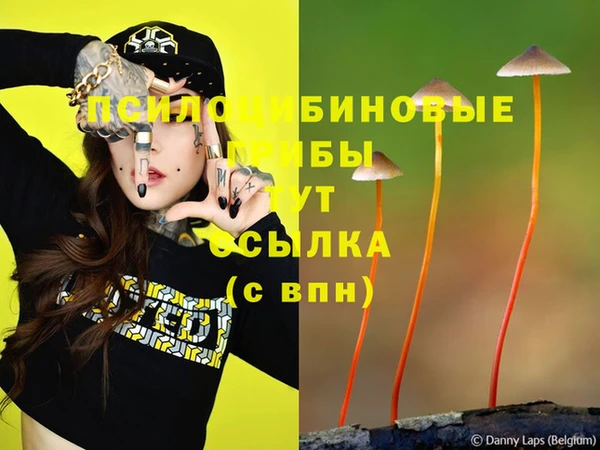 кокаин перу Каменка