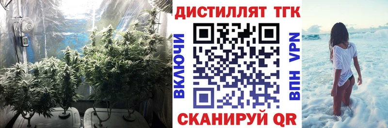 Купить где  Беломорск  Дистиллят ТГК гашишное масло 