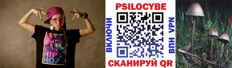 Псилоцибиновые грибы Psilocybe  Купить где  Беломорск 